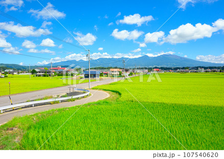 浅間山と水田【佐久市根岸】 浅間山と水田【佐久市根岸】 107540620