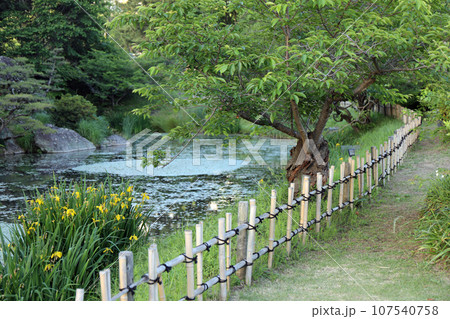 春の道後公園探索 春の道後公園探索 107540758