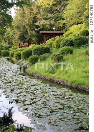 春の道後公園探索 春の道後公園探索 107540762