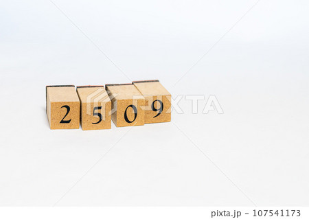 木のブロック 数字 2509 木のブロック 数字 2509 107541173