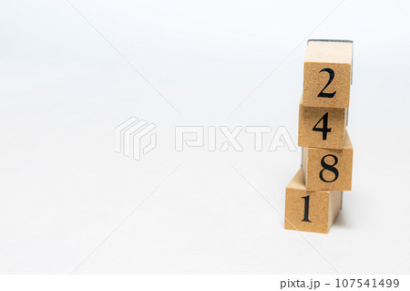 木のブロック　数字　2481 107541499