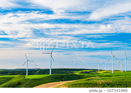 宗谷丘陵の風景 107541966