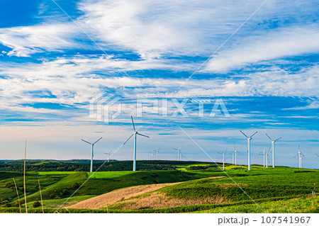 宗谷丘陵の風景 107541967