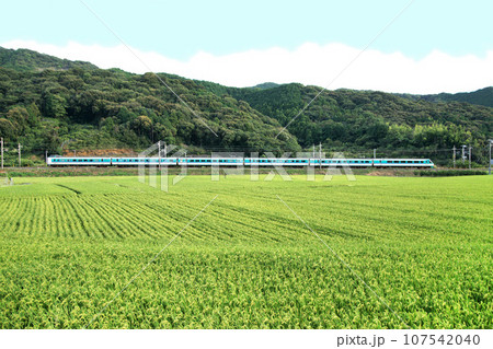 JR 381系　特急スーパーくろしお　紀勢本線　和歌山県 107542040