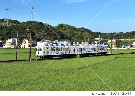 たま電車　和歌山電鉄貴志川線 107542044