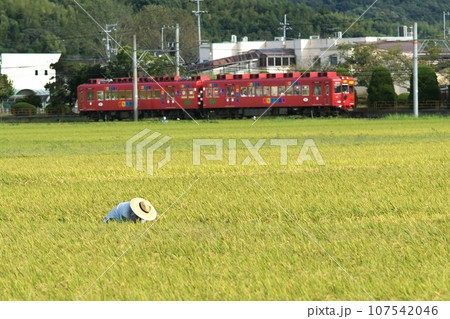 おもちゃ電車 和歌山電鉄貴志川線 おもちゃ電車 和歌山電鉄貴志川線 107542046