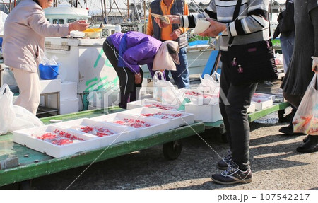 雑賀崎漁港の鮮魚直接販売　和歌山市 107542217