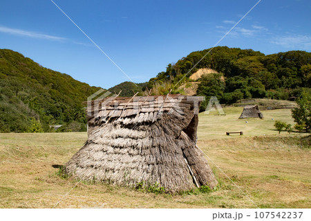 兵庫県淡路島の五斗長垣内遺跡（ごっさかいといせき） 107542237