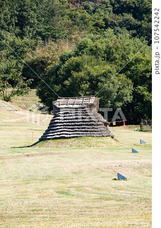 兵庫県淡路島の五斗長垣内遺跡（ごっさかいといせき） 107542242
