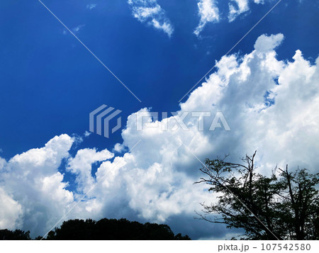 晴れの日の青空と緑の木々と白い雲 自然の風を感じる風景 晴れの日の青空と緑の木々と白い雲 自然の風を感じる風景 107542580