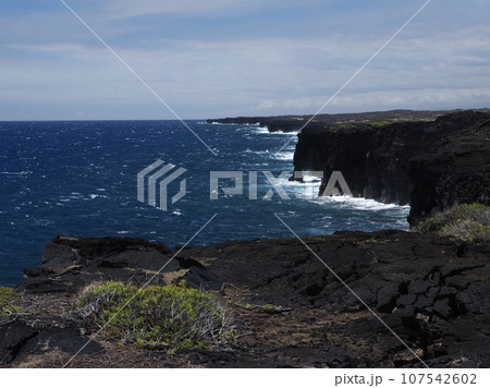 ハワイ島の海岸線 107542602