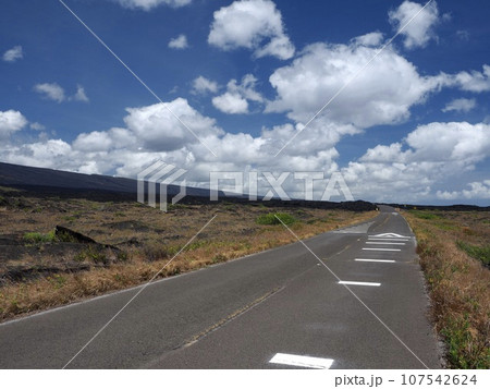 ハワイ火山国立公園　チェインオブクレーターズロード 107542624