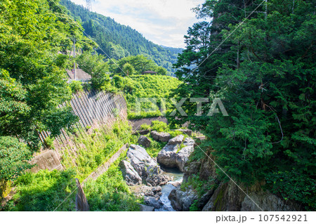 吉田川　大岩の風景　 秩父郡小鹿野町 107542921