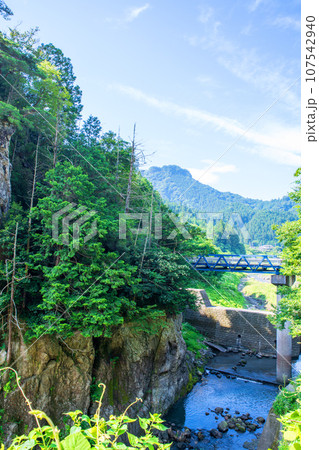 吉田川　大岩の風景　 秩父郡小鹿野町 107542940