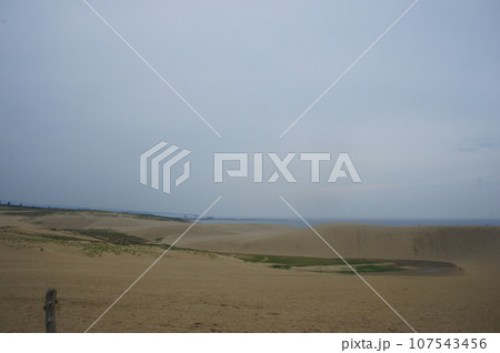 鳥取砂丘 鳥取砂丘 107543456