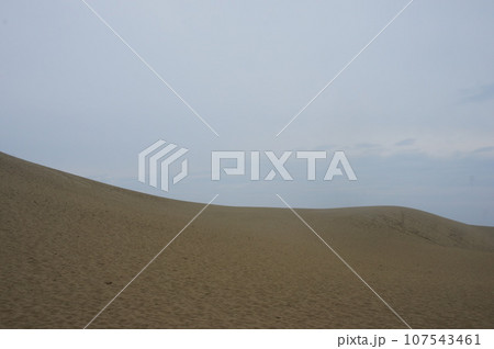 鳥取砂丘 鳥取砂丘 107543461