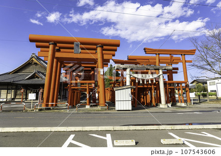 小泉稲荷神社の鳥居群 小泉稲荷神社の鳥居群 107543606