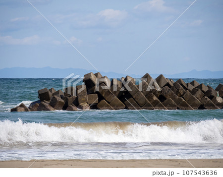 海岸の消波ブロック。福井県大飯郡高浜町内の若狭湾の海岸。(10月撮影) 107543636