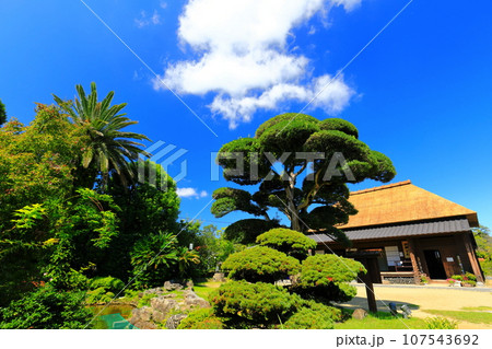 【鹿児島】快晴の日当山西郷どん村（西郷どんの宿） 107543692