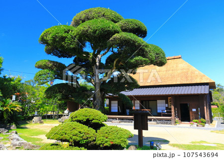 【鹿児島】快晴の日当山西郷どん村(西郷どんの宿) 【鹿児島】快晴の日当山西郷どん村(西郷どんの宿) 107543694