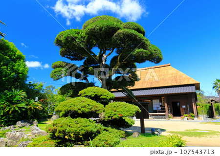 【鹿児島】快晴の日当山西郷どん村（西郷どんの宿） 107543713