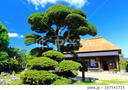 【鹿児島】快晴の日当山西郷どん村（西郷どんの宿） 107543715