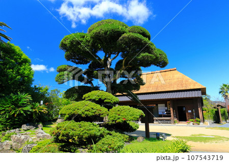 【鹿児島】快晴の日当山西郷どん村(西郷どんの宿) 【鹿児島】快晴の日当山西郷どん村(西郷どんの宿) 107543719