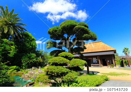【鹿児島】快晴の日当山西郷どん村(西郷どんの宿) 【鹿児島】快晴の日当山西郷どん村(西郷どんの宿) 107543720