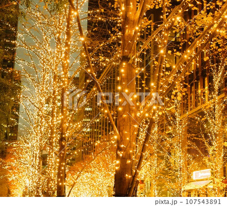 大手町仲通りのイルミネーション 107543891