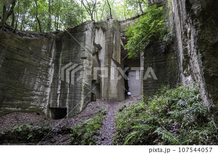 石切り場の神殿 107544057