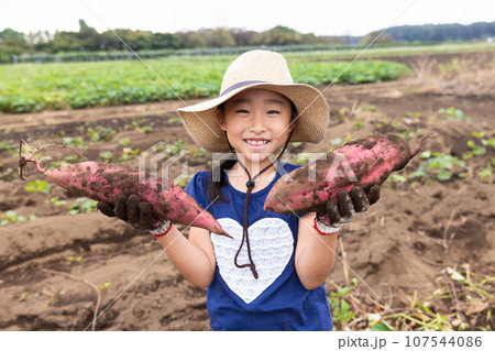 さつまいもほりを楽しむ子ども 107544086