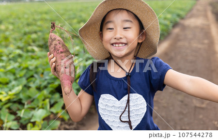 さつまいもを収穫するかわいい子ども 107544278
