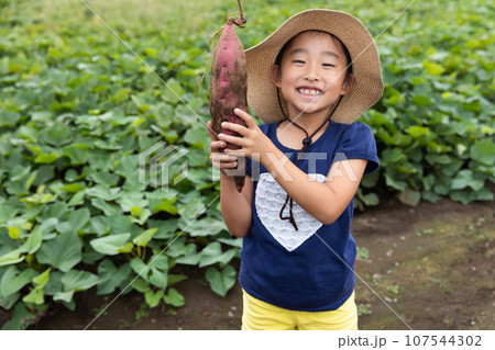 さつまいもを収穫するかわいい子ども 107544302