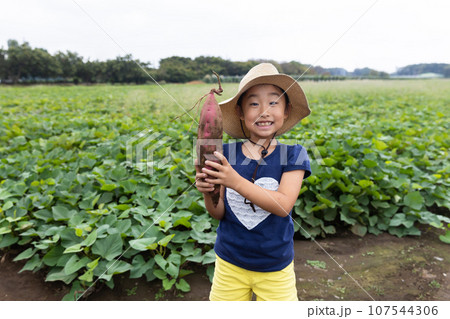 さつまいもを収穫するかわいい子ども さつまいもを収穫するかわいい子ども 107544306