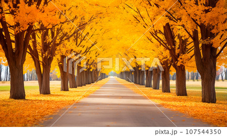 美しい秋の紅葉の並木道 107544350