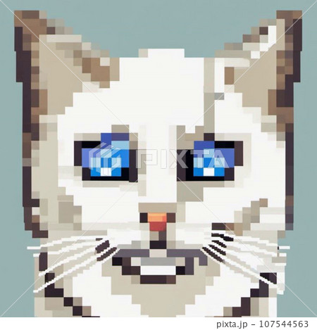 青い背景と猫 青い背景と猫 107544563