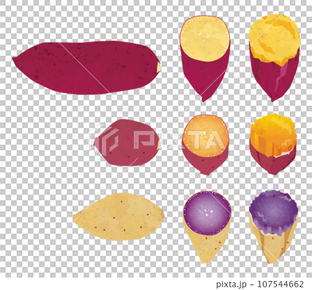3 types of sweet potatoes_Red Azuma, Anno sweet potato, Purple sweet potato_1/half/Illustration of roasted sweet potato_Japanese paper style inset 107544662