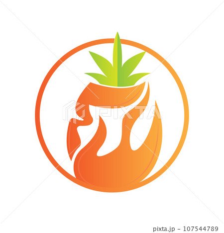 Pineapple Logo Design, Fresh Fruit Vector, Plantation Illustration, Fruit Product Brand Label Pineapple Logo Design, Fresh Fruit Vector, Plantation Illustration, Fruit Product Brand Label 107544789