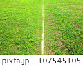 白線 107545105
