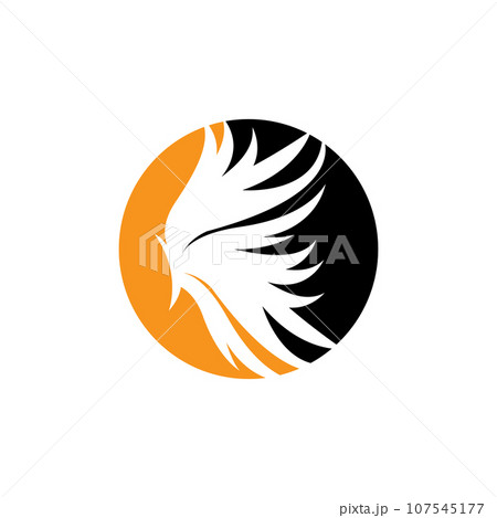 Wing Logo Design, Vector Eagle Falcon Wings, Beauty Flying Bird, Illustration Symbol 107545177