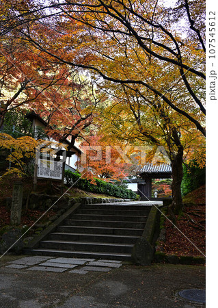 京都の紅葉 107545612