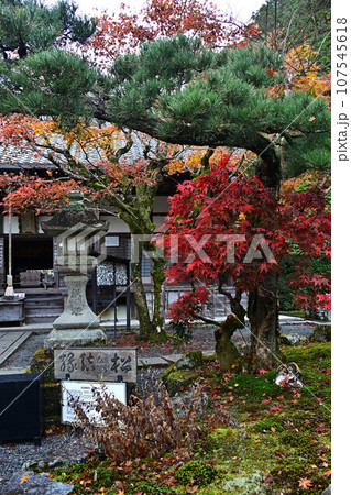 京都の紅葉 107545618