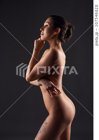 Sophisticated silhouette of a sensual woman 107546828