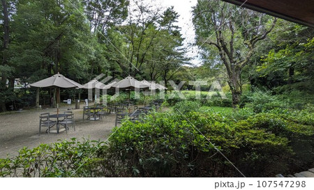 東京都庭園美術館のレストランからの景色 東京都庭園美術館のレストランからの景色 107547298