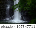 初夏の箕面大滝 107547711