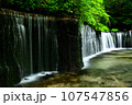 水の屏風 (白糸の滝) 107547856