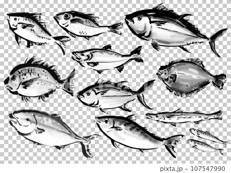 A collection of various hand-drawn fish. Japanese-style brush-drawn fish set. 107547990