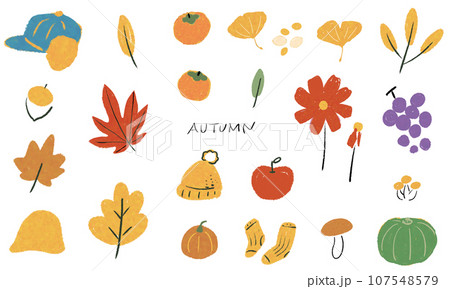あたたかみのある手描きの秋のイラストセット あたたかみのある手描きの秋のイラストセット 107548579
