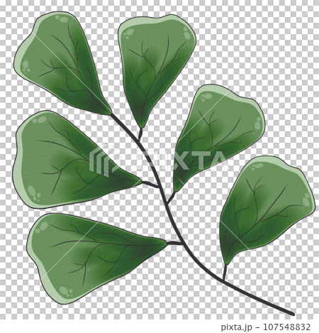 illustration of leaf and branch illustration of leaf and branch 107548832