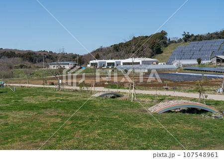 クルックフィールズ 107548961